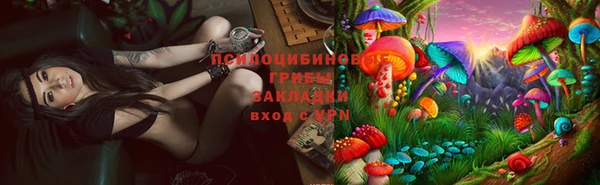 спиды Нефтегорск