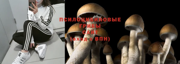 МДМА Абаза